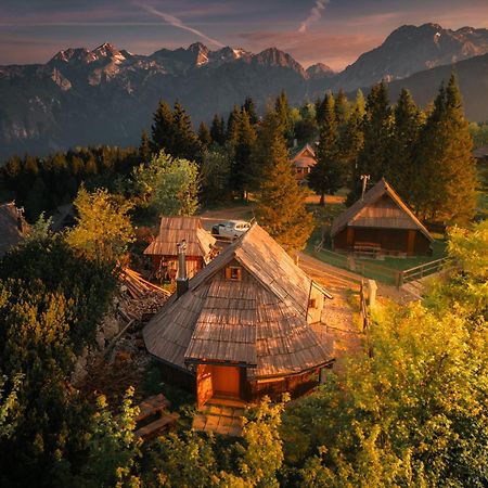 Koca Kronca - Velika Planina Stahovica المظهر الخارجي الصورة