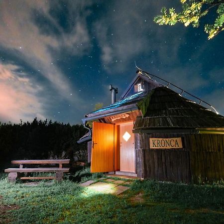 Koca Kronca - Velika Planina Stahovica المظهر الخارجي الصورة